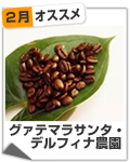 おすすめ豆