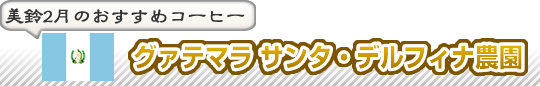 syoukai おすすめコーヒー