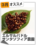 おすすめ豆