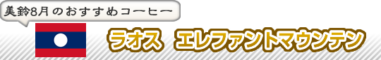 syoukai おすすめコーヒー