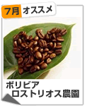 osusume7