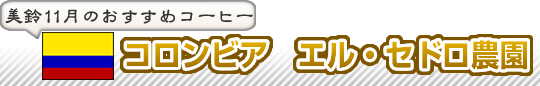 syoukai おすすめコーヒー